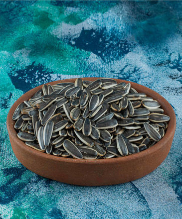 Picture of Sunflower Seeds (Salted) (100 gm)